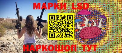 a pvp Камышлов