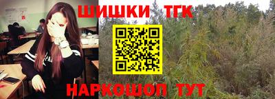 a pvp Камышлов