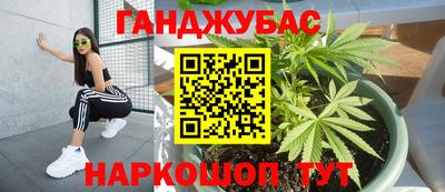 кокс Кингисепп